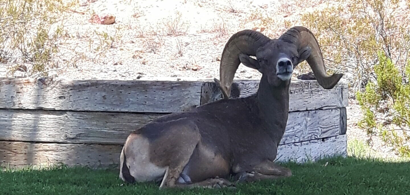 samsing rong! Oder, wenn das Jugendschutzgesetz zum Bumerang wird