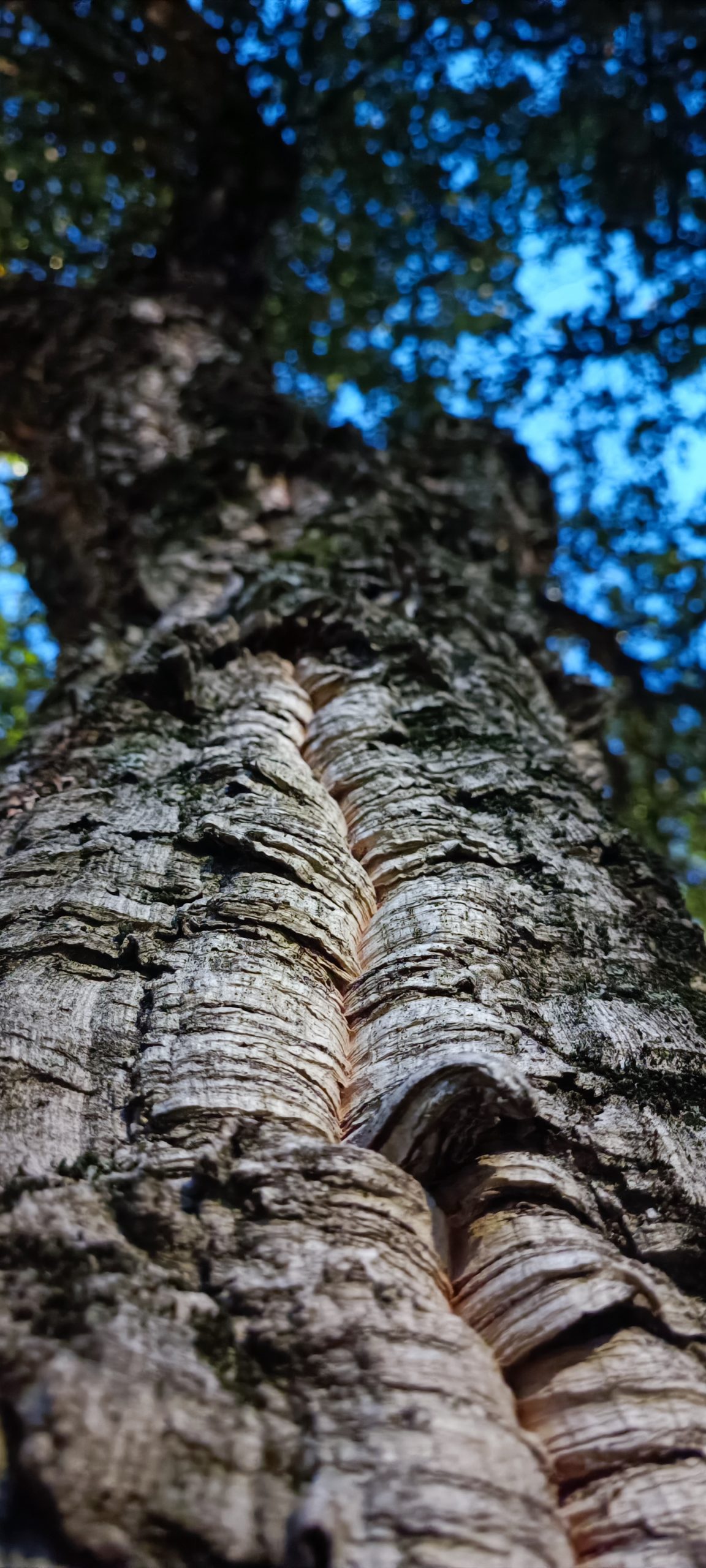 Proben, Ideen und weitere Proben